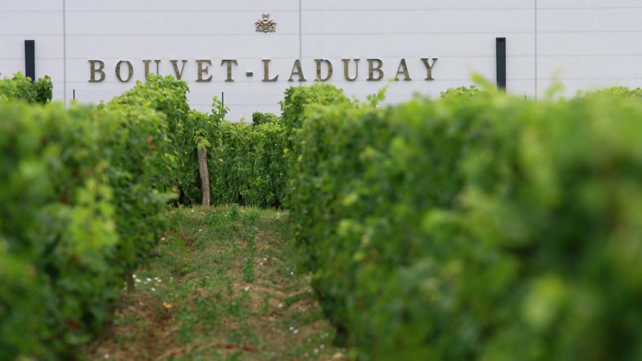 full_metal_et_le_vignoble_photo_sophie_boursier_-_copie_weinetc